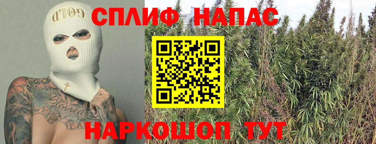 Марихуана сатива  Вход с VPN  Зеленодольск  Конопля план  Канабис Amnesia 